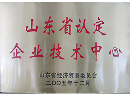 山東省認定企業(yè)技術(shù)中心2005